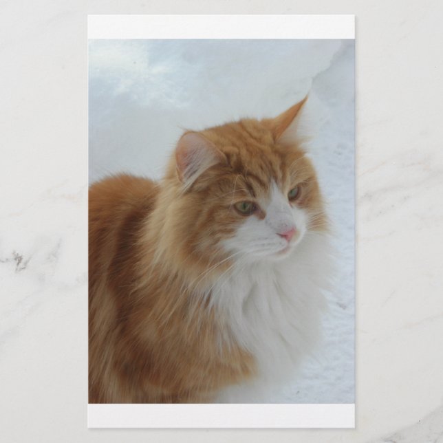 Papelería Gato_del_bosque_noruego (Anverso)