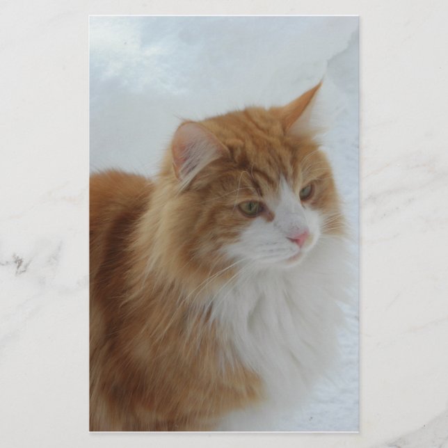 Papelería Gato_del_bosque_noruego (Anverso)