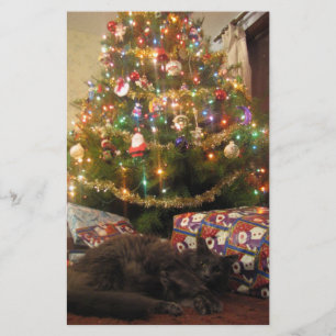 Papelería Gato del navidad