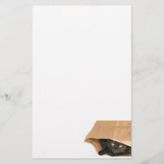 Papelería Gato en bolsa