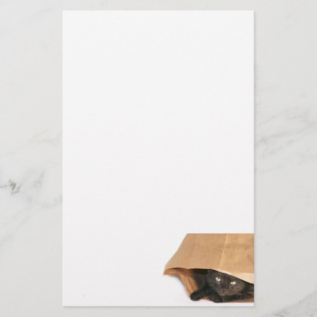 Papelería Gato en bolsa (Anverso)