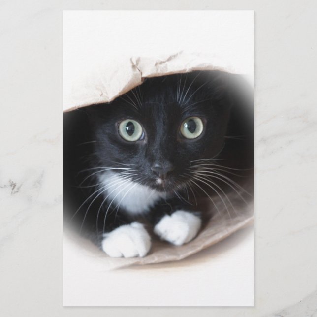 Papelería Gato en un bolso (Anverso)