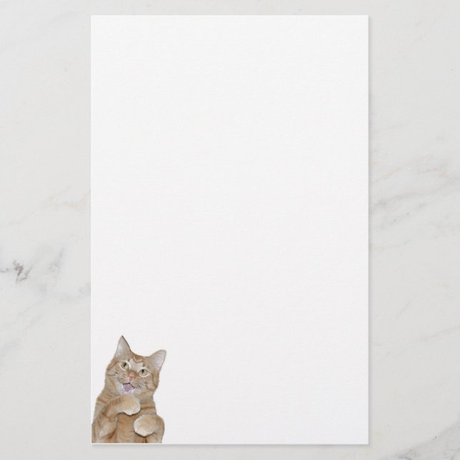 Papelería Gato feliz (Anverso)