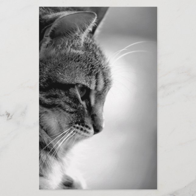 Papelería Gato meditando negro y blanco (Anverso)