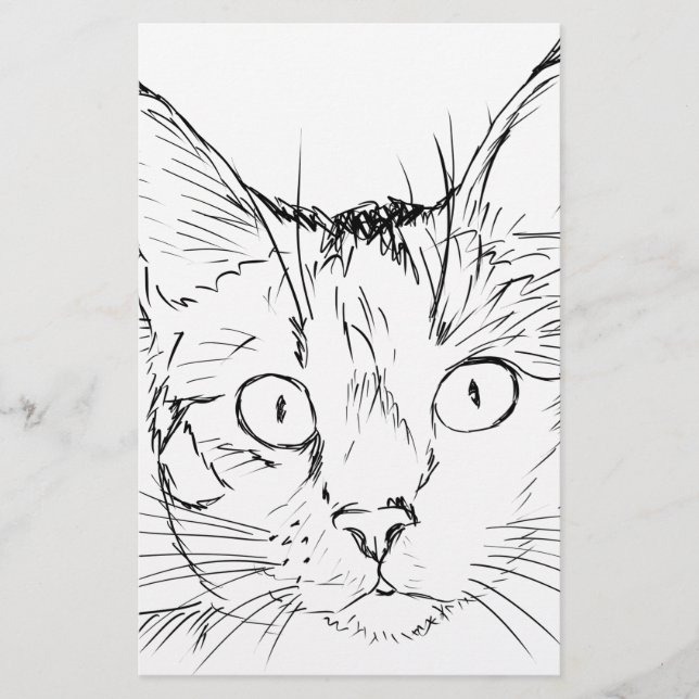 Papelería Gato mimoso (Anverso)