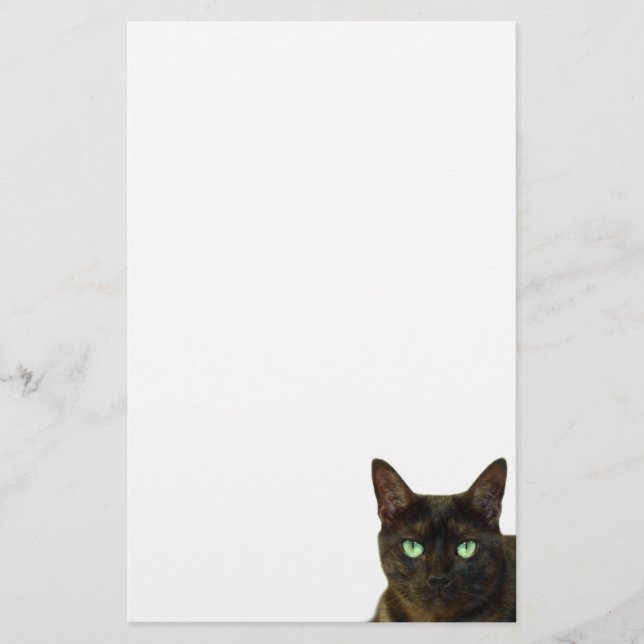 Papelería Gato negro (Anverso)