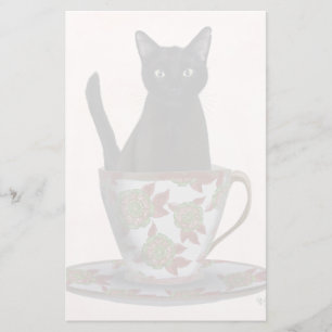 Papelería Gato negro en la televisión