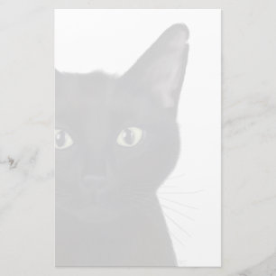 Papelería Gato, retrato de Gus