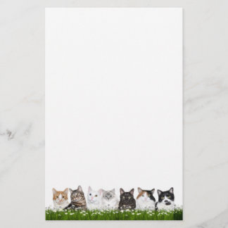 Papelería Gatos del gatito en margaritas