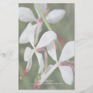 Papelería Gaura - Stationery personalizada