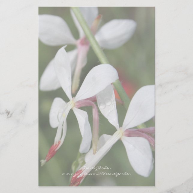 Papelería Gaura - Stationery personalizada (Anverso)