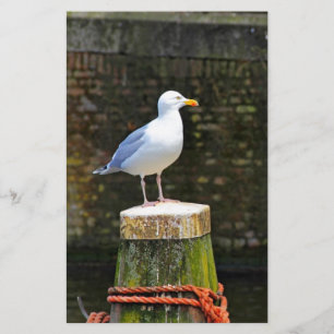 Papelería Gaviota