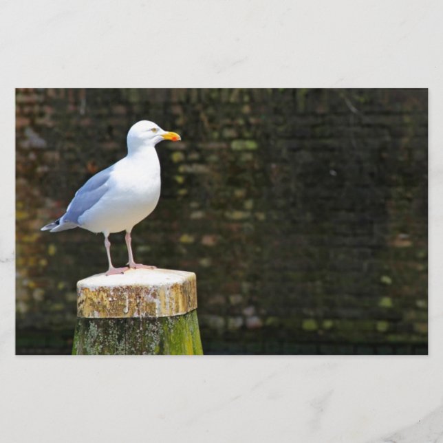 Papelería Gaviota (Anverso)