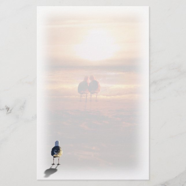 Papelería Gaviota solitaria en la playa (Anverso)