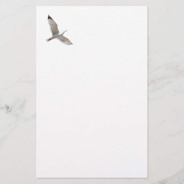 Papelería Gaviota voladora (Anverso)