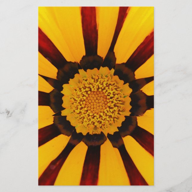 PAPELERÍA GAZANIA (Anverso)