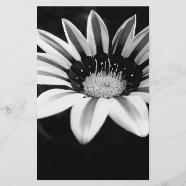 Papelería Gazania (Anverso)