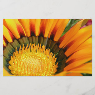 Papelería Gazania