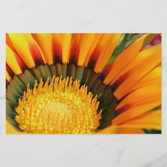 Papelería Gazania (Anverso)