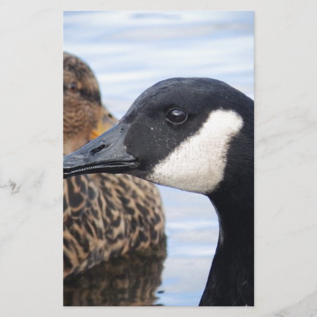 Papelería Gaze (Anverso)