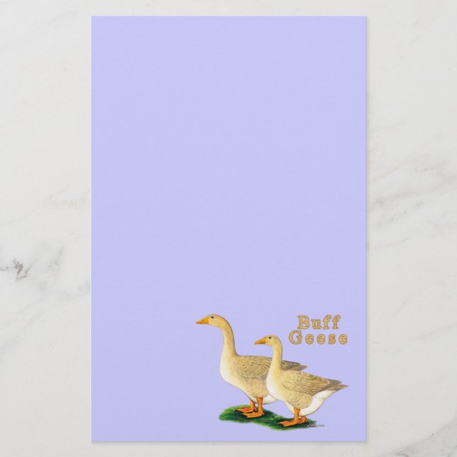 Papelería Geese: Buffs norteamericanos (Anverso)