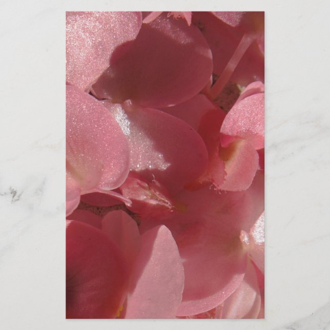 Papelería Geranio rosa: casi sólido Rosa claro (Anverso)