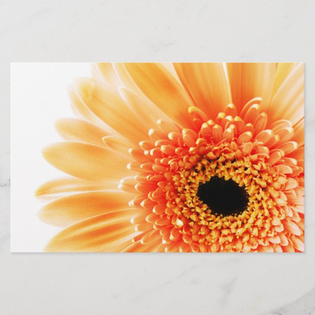 Papelería Gerbera (Anverso)