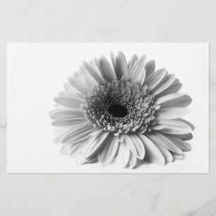 Papelería Gerbera