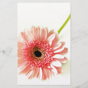 Papelería Gerbera