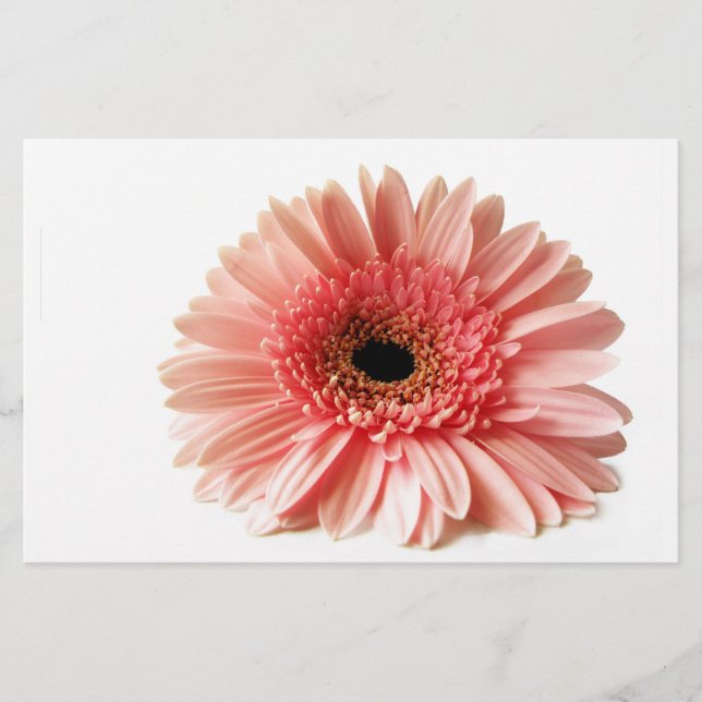 Papelería Gerbera (Anverso)