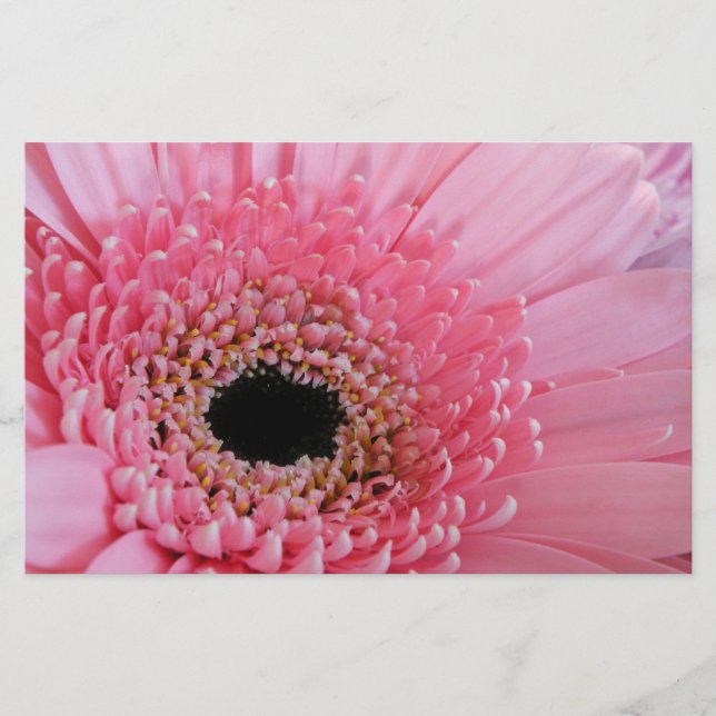 Papelería Gerbera Daisy (Anverso)