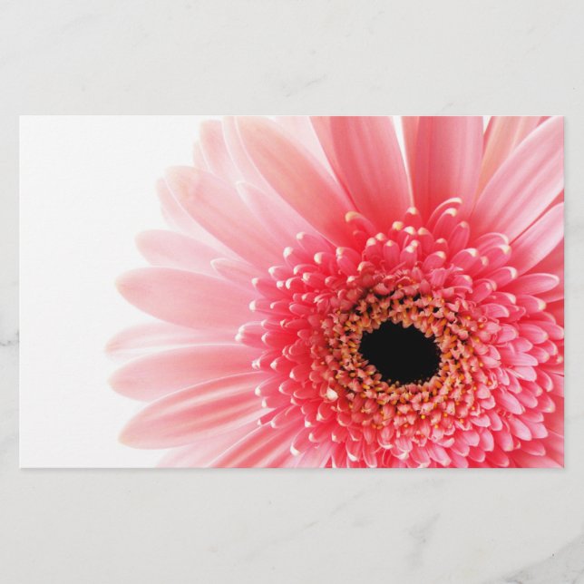 Papelería Gerbera Daisy (Anverso)
