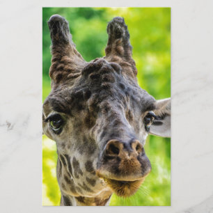 Papelería Girafa