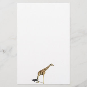 Papelería Giraffe