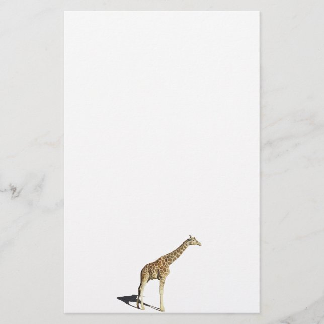 Papelería Giraffe (Anverso)