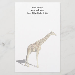 Papelería Giraffe