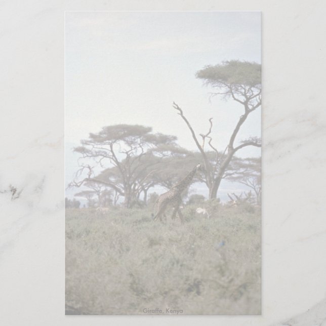 Papelería Giraffe, Kenia (Anverso)