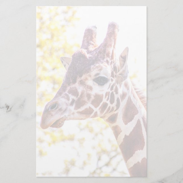 Papelería Giraffe Portrait (Anverso)