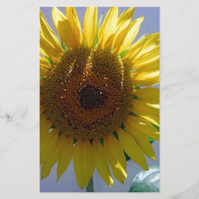 Papelería Girasol amarillo (Anverso)