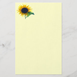 Papelería Girasol en la plena floración