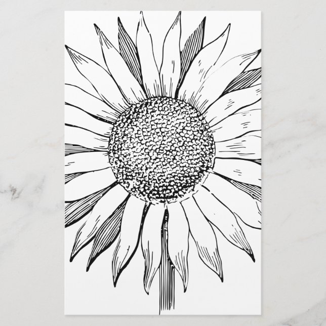 Papelería Girasol ilustrado (Anverso)