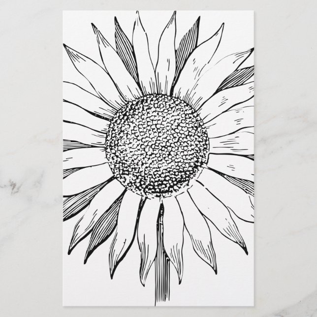 Papelería Girasol ilustrado (Anverso)