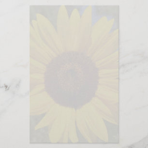 Papelería Girasol inmóvil