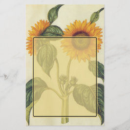 Papelería Girasoles