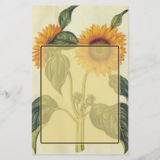 Papelería Girasoles
