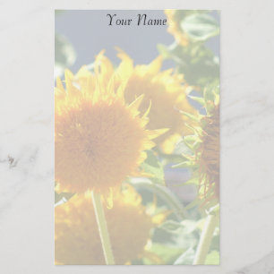 Papelería Girasoles inmóviles