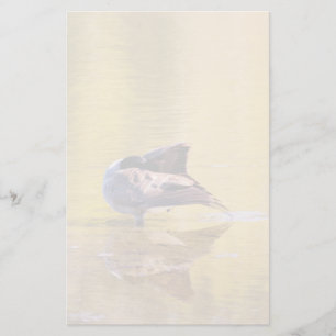 Papelería Golden Goose
