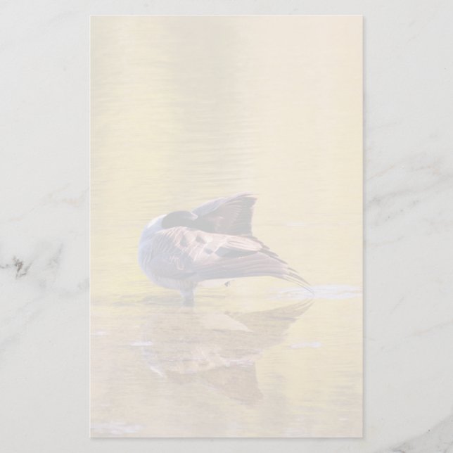 Papelería Golden Goose (Anverso)