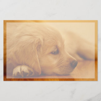 Papelería Golden Retriever Puppy