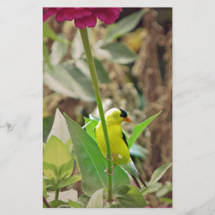 Papelería Goldfinch